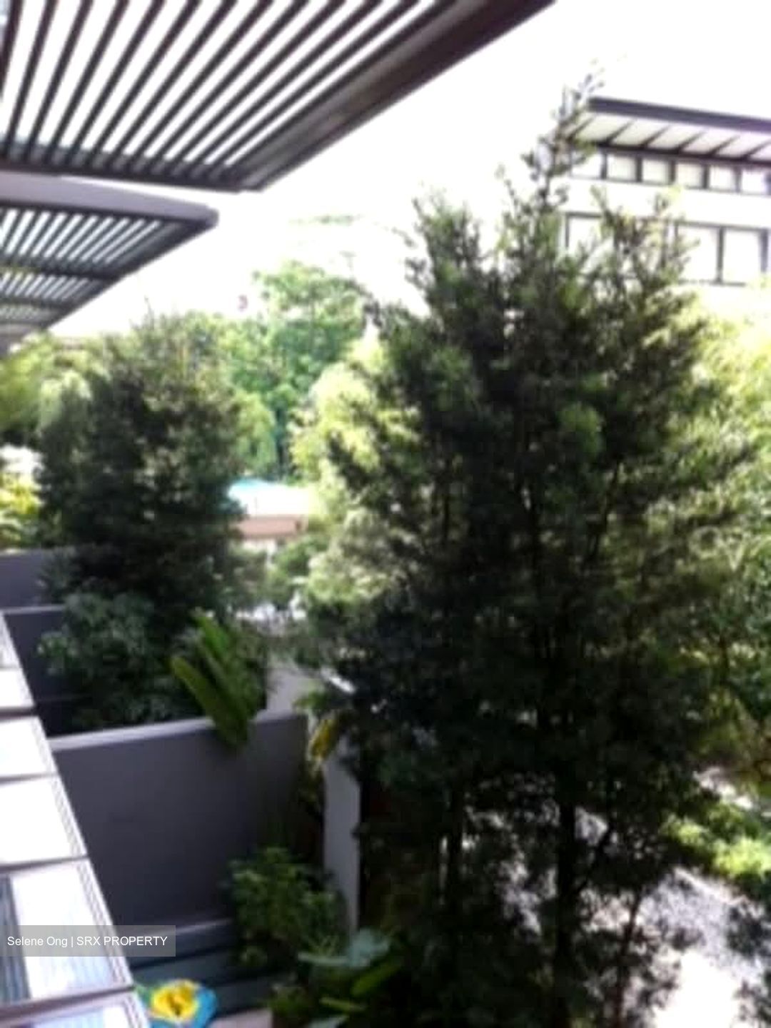 The Teneriffe (D10), Terrace #566806571